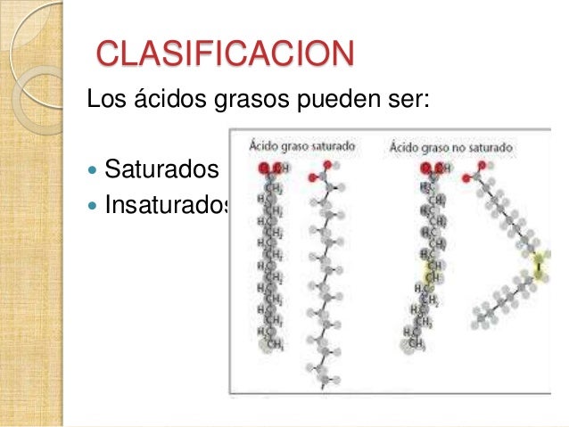 cadenas hidrocarbonadas clasificacion acidos grasos cadenas hidrocarbonadas clasificacion acidos grasos