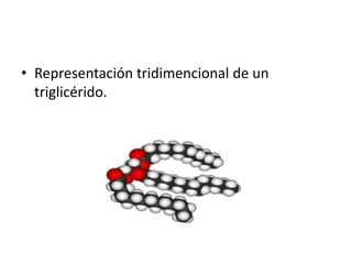 • Representación tridimencional de un
triglicérido.
 