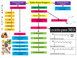 Ácidos Grasos Omegas 3 Descubiertos por Ralph Holman  Inicialmente  llamados VITAMINA F A L A N G L E Z S Ácidos Grasos Esenciales Se obtienen en la Dieta El organismo humano no lo puede producir. POLIINSATURADOS Pescado  Mas de un doble enlace Lino Primer DOBLE ENLACE EN EL CARBONO 3 Chia Posición CIS. Sacha Inchi Cañamones TIPOS Nueces Ac. Alfa-Linolenico EFECTOS Aumenta el tiempo de coagulación Ac. Estearidonico Disminuye ECV Ac. Eicosatetiaenoico Beneficia al cerebro Ac. Eicosapentaenoico Disminuye la depresión Ac. Docosahexanoico Disminuye triglicéridos y colesterol 
