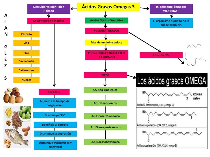 las recetas de la dieta del metabolismo acelerado mejores ideas para