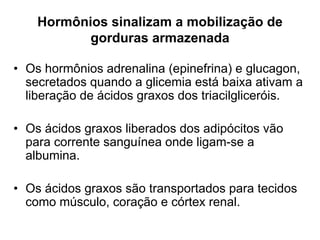 Hormônios sinalizam a mobilização de
           gorduras armazenada

• Os hormônios adrenalina (epinefrina) e glucagon,
  secretados quando a glicemia está baixa ativam a
  liberação de ácidos graxos dos triacilgliceróis.

• Os ácidos graxos liberados dos adipócitos vão
  para corrente sanguínea onde ligam-se a
  albumina.

• Os ácidos graxos são transportados para tecidos
  como músculo, coração e córtex renal.
 