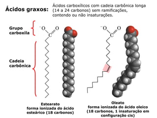 Ácidos carboxílicos com cadeia carbônica longa
Ácidos graxos:      (14 a 24 carbonos) sem ramificações,
                    contendo ou não insaturações.


 Grupo
 carboxila




 Cadeia
 carbônica




               Estearato                         Oleato
        forma ionizada do ácido      forma ionizada do ácido oleico
        esteárico (18 carbonos)     (18 carbonos, 1 insaturação em
                                           configuração cis)
 