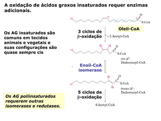 A oxidação de ácidos graxos insaturados requer enzimas
adicionais.



                                           Oleil-CoA
Os AG insaturados são      3 ciclos de
comuns em tecidos          β-oxidação
animais e vegetais e
suas configurações são
quase sempre cis


                            Enoil-CoA
                           isomerase




                           5 ciclos de
Os AG poliinsaturados      β-oxidação
requerem outras
isomerases e redutases.
 