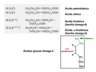 Ácido palmitoleico

                        Ácido oleico

                        Ácido linoleico
                        (família ômega-6)

                        Ácido α-linolênico
                        (família ômega-3)
                                       Carbono ω




Ácidos graxos ômega-3
 