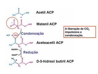 A liberação de CO2
impulsiona a
condensação.
 