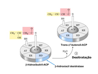 Trans-Δ2-butenoil-ACP




                                     Desitratação

β-hidroxibutiril-ACP
                       β-hidroxiacil desidratase
 
