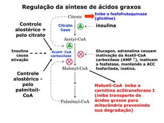 Regulação da síntese de ácidos graxos
                              Inibe a fosfofrutoquinase
                              (glicólise)
   Controle         Citrato   insulina
 alostérico +        liase
 pelo citrato


Insulina        Acetil- CoA   Glucagon, adrenalina causam
   causa        carboxilase   inativação da Acetil-CoA
ativação                      carboxilase (AMP ↑), inativam
                              a fosfatase, mantendo a ACC
                              fosforilada, inativa.
  Controle
 alostérico -
    pelo                      Malonil-CoA inibe a
  palmitoil-                  carnitina aciltransferase I
     CoA                      (inibe transporte de
                              ácidos graxos para
                              mitocôndria prevenindo
                              sua degradação)
 