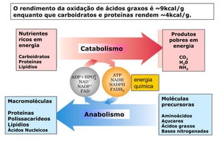 O rendimento da oxidação de ácidos graxos é ~9kcal/g
  enquanto que carboidratos e proteínas rendem ~4kcal/g.


    Nutrientes                                     Produtos
    ricos em                                      pobres em
    energia                                         energia
                      Catabolismo
    Carboidratos                                      CO2
    Proteínas                                         H20
    Lipídios                                          NH3

                                      energia
                                      química

                                                Moléculas
Macromoléculas
                                                precursoras
Proteínas              Anabolismo               Aminoácidos
Polissacarídeos                                 Açucares
Lipidios                                        Ácidos graxos
Ácidos Nucleicos                                Bases nitrogenadas
 