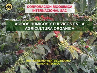 CORPORACION BIOQUIMICA
       INTERNACIONAL SAC



ÁCIDOS HÚMICOS Y FULVICOS EN LA
    AGRICULTURA ORGANICA




     INGº JORGE INOFUENTES UZQUIANO
             GERENTE TECNICO
 