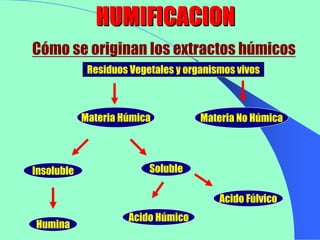 HUMIFICACION
Cómo se originan los extractos húmicos
             Residuos Vegetales y organismos vivos



            Mate...