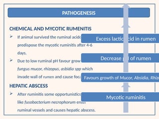 Comprehensive Overview of Ruminal Lactic Acidosis in Ruminants ...