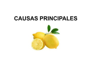 CAUSAS PRINCIPALES
 