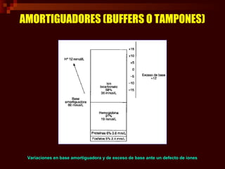 AMORTIGUADORES (BUFFERS O TAMPONES)
Variaciones en base amortiguadora y de exceso de base ante una sobreproducción
de ione...