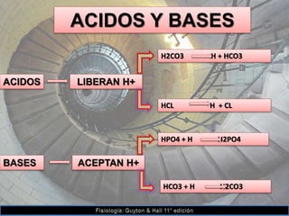 H2CO3 H + HCO3
ACIDOS
ACIDOS Y BASES
LIBERAN H+
BASES ACEPTAN H+
HPO4 + H H2PO4
HCL H + CL
HCO3 + H H2CO3
 
