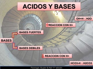 ACIDOS Y BASES
BASES
HCO3-H H2CO3
BASES FUERTES
BASES DEBILES
REACCION CON H+
REACCION CON H+
OH+H H2O
 
