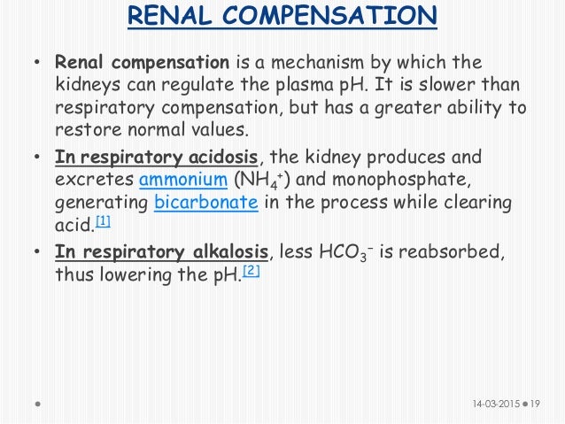 to a of make how mechanism breathing alkalosis and Acidosis