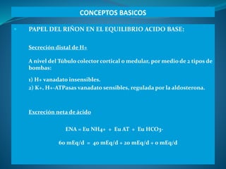 CONCEPTOS BASICOS
 PAPEL DEL RIÑON EN EL EQUILIBRIO ACIDO BASE:
Secreción distal de H+
A nivel del Túbulo colector cortic...