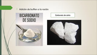  Adición de buffers a la ración 
Carbonato de calcio 
 