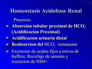 Homeostasis Acidobase Renal <ul><li>Procesos: </li></ul><ul><li>Absorcion tubular proximal de HCO 3 -  (Acidificacion Prox...