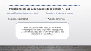 Protones Riñon PRESENTACIÓN DE ACIDOSIS TUBULAR RENAL (NEFROLOGIA) | PPTX