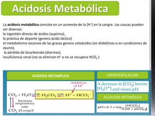 Acidosis Metabólica
ACIDOSIS METABÓLICA
ALCALOSIS METABÓLICA
HIPERVENTILACIÓN
La acidosis metabólica consiste en un aument...