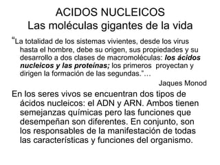 ACIDOS NUCLEICOS Las moléculas gigantes de la vida ,[object Object],[object Object],[object Object]