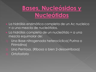  La hidrólisis enzimática completa de un Ac nucleico
= a una mezcla de nucleótidos.
 La hidrólisis completa de un nucleótido = a una
mezcla equimolar de:
1) Una Base nitrogenada heterocíclica( Purina o
Pirimidina)
2) Una Pentosa, (Ribosa o bien 2-desoxirribosa)
3) Ortofosfato
 