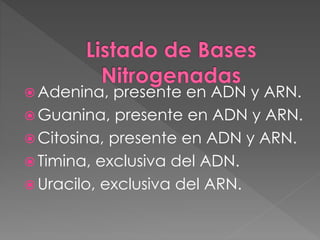  Adenina, presente en ADN y ARN.
 Guanina, presente en ADN y ARN.
 Citosina, presente en ADN y ARN.
 Timina, exclusiva del ADN.
 Uracilo, exclusiva del ARN.
 
