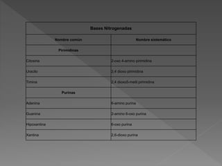 Bases Nitrogenadas
Nombre común Nombre sistemático
Pirimidinas
Citosina 2-oxo 4-amino pirimidina
Uracilo 2,4 dioxo pirimidina
Timina 2,4 dioxo5-metil pirimidina
Purinas
Adenina 6-amino purina
Guanina 2-amino 6-oxo purina
Hipoxantina 6-oxo purina
Xantina 2,6-dioxo purina
 