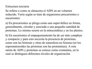 Estructura terciaria
Se refiere a como se almacena el ADN en un volumen
reducido. Varía según se trate de organismos procariontes o
eucariontes:
a) En procariontes se pliega como una super-hélice en forma,
generalmente, circular y asociada a una pequeña cantidad de
proteinas. Lo mismo ocurre en la mitocondrias y en los plastos.
b) En eucariontes el empaquetamiento ha de ser más complejo
y compacto y para esto necesita la presencia de proteinas,
como son las histonas y otras de naturaleza no histona (en los
espermatozoides las proteinas son las protaminas). A esta
unión de ADN y proteinas se conoce como cromatina, en la
cual se distinguen diferentes niveles de organización
 