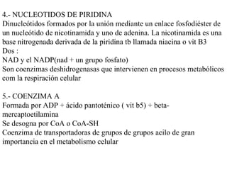 4.- NUCLEOTIDOS DE PIRIDINA
Dinucleótidos formados por la unión mediante un enlace fosfodiéster de
un nucleótido de nicotinamida y uno de adenina. La nicotinamida es una
base nitrogenada derivada de la piridina tb llamada niacina o vit B3
Dos :
NAD y el NADP(nad + un grupo fosfato)
Son coenzimas deshidrogenasas que intervienen en procesos metabólicos
com la respiración celular
5.- COENZIMA A
Formada por ADP + ácido pantoténico ( vit b5) + beta-
mercaptoetilamina
Se desogna por CoA o CoA-SH
Coenzima de transportadoras de grupos de grupos acilo de gran
importancia en el metabolismo celular
 