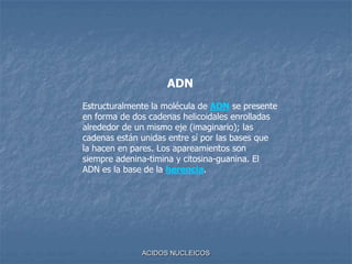 ACIDOS NUCLEICOSADNEstructuralmente la molécula de ADN se presente en forma de dos cadenas helicoidales enrolladas alrededor de un mismo eje (imaginario); las cadenas están unidas entre sí por las bases que la hacen en pares. Los apareamientos son siempre adenina-timina y citosina-guanina. El ADN es la base de la herencia. 