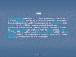 ACIDOS NUCLEICOSARNEl ARN mensajero (ARNm) es el tipo de ARN que lleva la información del ADN a los ribosomas, el lugar de la síntesis de proteínas. La secuencia de nucleótidos del ARNm determina la secuencia de aminoácidos de la proteína. Por ello, el ARNm es denominado ARN codificante.No obstante, muchos ARN no codifican proteínas, y reciben el nombre de ARN no codificantes; se originan a partir de genes propios (genes ARN). Son ARN no codificantes el ARN de transferencia (ARNt) y el ARN ribosómico (ARNr), que son elementos fundamentales en el proceso de traducción, y diversos tipos de ARN reguladores.