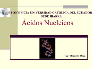 Ácidos Nucleicos Por: Moraima Mera PONTIFICIA UNIVERSIDAD CATOLICA DEL ECUADOR SEDE IBARRA 