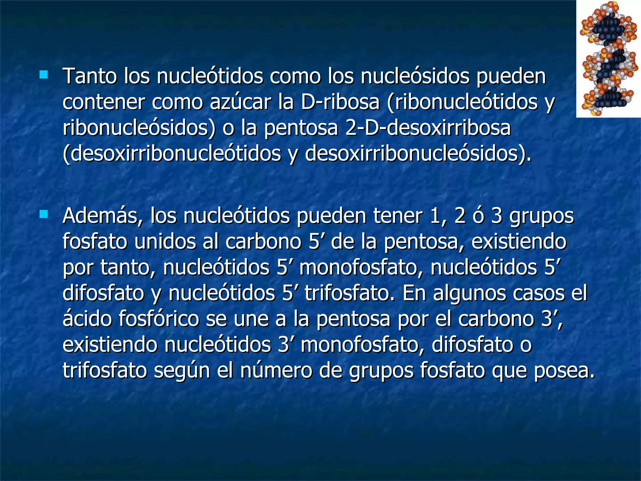 Tanto los nucleótidos como los nucleósidos pueden contener como azúcar la D-ribosa (ribonucleótidos y ribonucleósidos) o la pentosa 2-D-desoxirribosa (desoxirribonucleótidos y desoxirribonucleósidos).  Además, los nucleótidos pueden tener 1, 2 ó 3 grupos fosfato unidos al carbono 5’ de la pentosa, existiendo por tanto, nucleótidos 5’ monofosfato, nucleótidos 5’ difosfato y nucleótidos 5’ trifosfato. En algunos casos el ácido fosfórico se une a la pentosa por el carbono 3’, existiendo nucleótidos 3’ monofosfato, difosfato o trifosfato según el número de grupos fosfato que posea.  