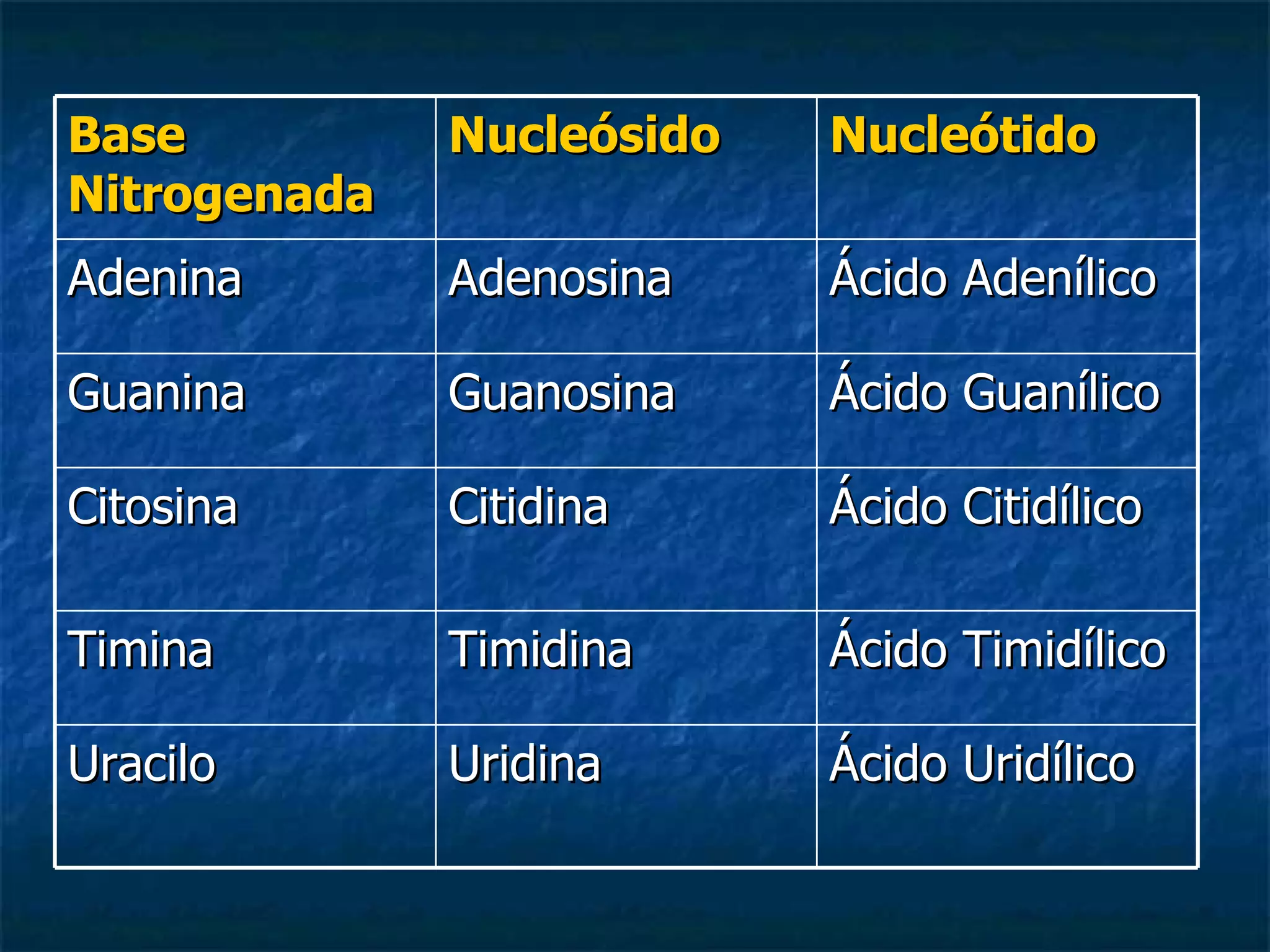Base Nitrogenada Nucleósido Nucleótido Adenina Adenosina Ácido Adenílico Guanina Guanosina Ácido Guanílico Citosina Citidina Ácido Citidílico Timina Timidina Ácido Timidílico Uracilo Uridina Ácido Uridílico 