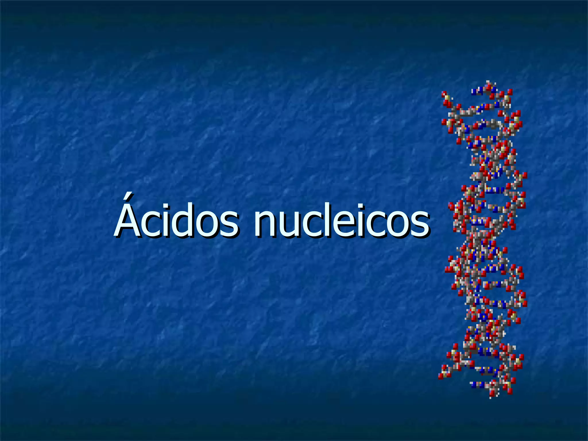 Ácidos nucleicos 