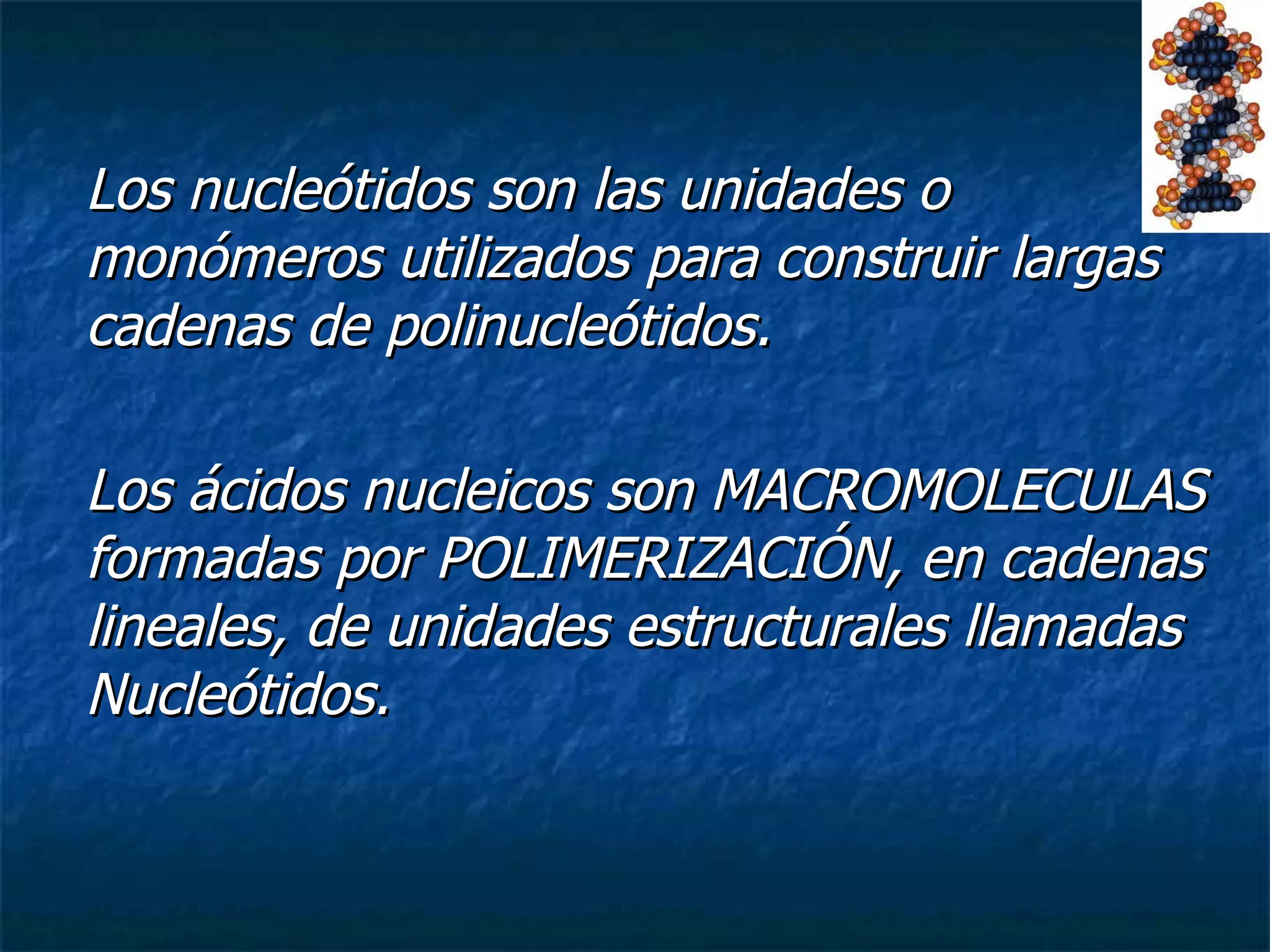 Los nucleótidos son las unidades o monómeros utilizados para construir largas cadenas de polinucleótidos.  Los ácidos nucleicos son MACROMOLECULAS formadas por POLIMERIZACIÓN, en cadenas lineales, de unidades estructurales llamadas Nucleótidos. 