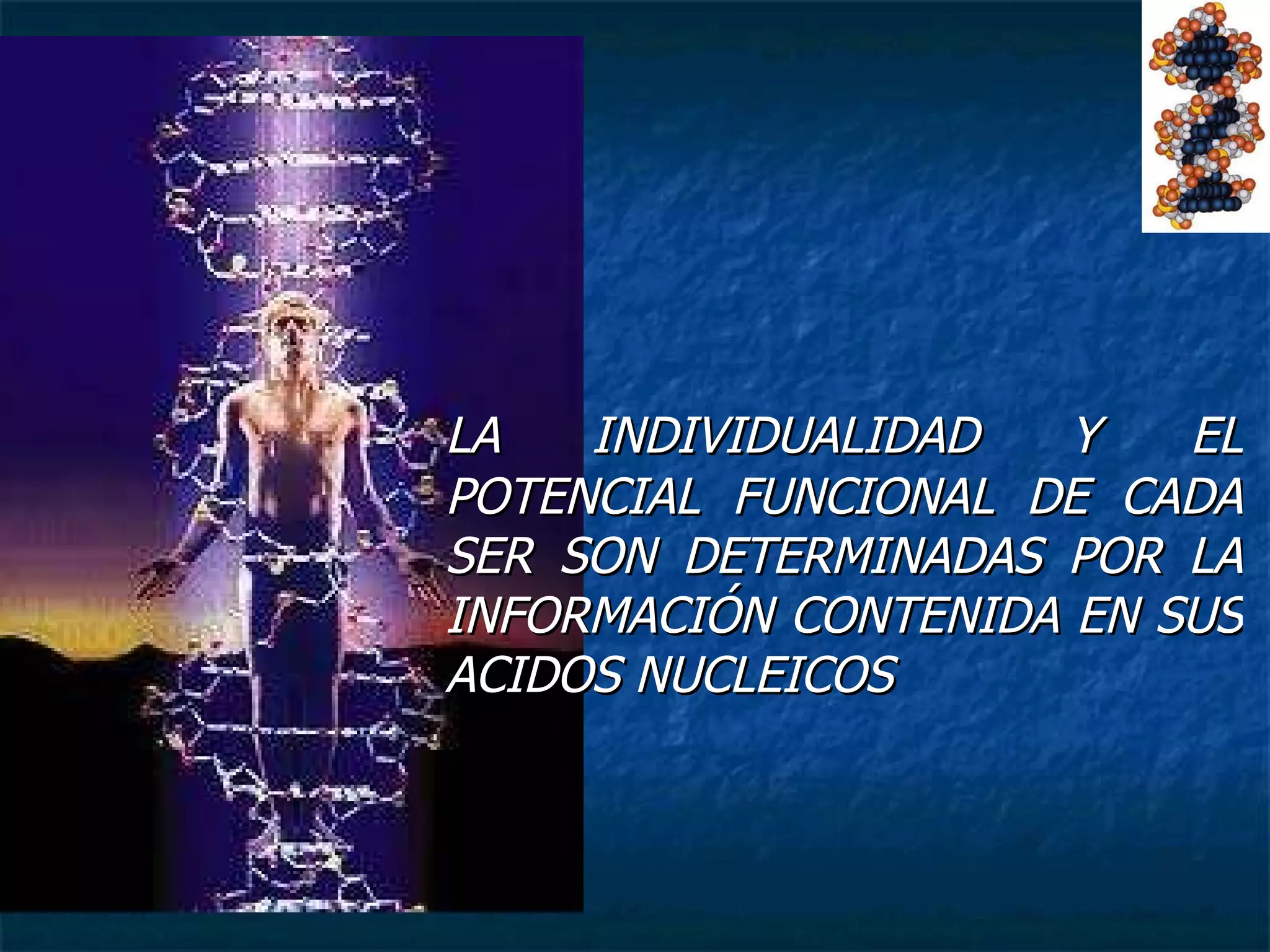 LA INDIVIDUALIDAD Y EL POTENCIAL FUNCIONAL DE CADA SER SON DETERMINADAS POR LA INFORMACIÓN CONTENIDA EN SUS ACIDOS NUCLEICOS 