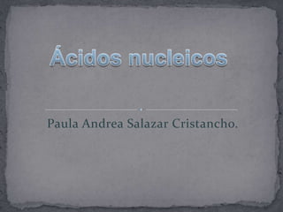 Paula Andrea Salazar Cristancho.
 