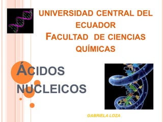 UNIVERSIDAD CENTRAL DEL
         ECUADOR
   FACULTAD   DE CIENCIAS
         QUÍMICAS

ÁCIDOS
NUCLEICOS

            GABRIELA LOZA
 