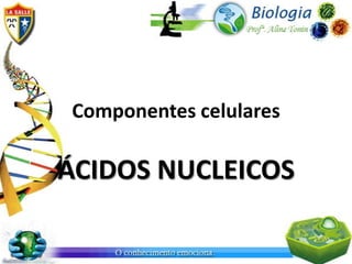 Componentes celulares

ÁCIDOS NUCLEICOS
 
