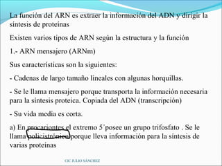 La función del ARN es extraer la información del ADN y dirigir la
síntesis de proteínas
Existen varios tipos de ARN según la estructura y la función
1.- ARN mensajero (ARNm)
Sus características son la siguientes:
- Cadenas de largo tamaño lineales con algunas horquillas.
- Se le llama mensajero porque transporta la información necesaria
para la síntesis proteica. Copiada del ADN (transcripción)
- Su vida media es corta.
a) En procariontes el extremo 5´posee un grupo trifosfato . Se le
llama policistrónico porque lleva información para la síntesis de
varias proteínas
                   CIC JULIO SÁNCHEZ
 