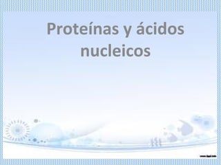 Proteínas y ácidos
    nucleicos
 