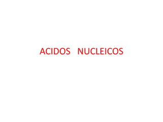 ACIDOS NUCLEICOS
 