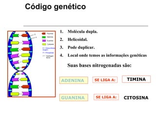Código genético

DNA:
           1.   Molécula dupla.
           2.   Helicoidal.
           3.   Pode duplicar.
           4.   Local onde temos as informações genéticas

                Suas bases nitrogenadas são:

           ADENINA            SE LIGA A:       TIMINA



           GUANINA               SE LIGA A:   CITOSINA
 