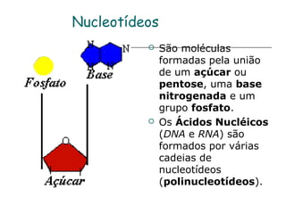 Nucleotídeos
              São moléculas
               formadas pela união
               de um açúcar ou
               pentose, uma base
               nitrogenada e um
               grupo fosfato.
              Os Ácidos Nucléicos
               (DNA e RNA) são
               formados por várias
               cadeias de
               nucleotídeos
               (polinucleotídeos).
 
