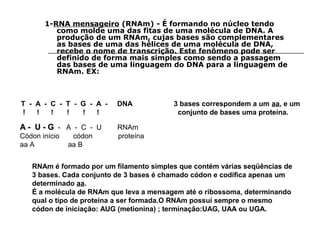 1-RNA mensageiro (RNAm) - É formando no núcleo tendo
          como molde uma das fitas de uma molécula de DNA. A
          produção de um RNAm, cujas bases são complementares
          as bases de uma das hélices de uma molécula de DNA,
          recebe o nome de transcrição. Este fenômeno pode ser
          definido de forma mais simples como sendo a passagem
          das bases de uma linguagem do DNA para a linguagem de
          RNAm. EX:



T - A - C - T - G - A -   DNA            3 bases correspondem a um aa, e um
!   !   !   !   !   !                     conjunto de bases uma proteína.

A- U-G - A - C - U        RNAm
Códon início    códon     proteína
aa A           aa B


   RNAm é formado por um filamento simples que contém várias seqüências de
   3 bases. Cada conjunto de 3 bases é chamado códon e codifica apenas um
   determinado aa.
   É a molécula de RNAm que leva a mensagem até o ribossoma, determinando
   qual o tipo de proteína a ser formada.O RNAm possui sempre o mesmo
   códon de iniciação: AUG (metionina) ; terminação:UAG, UAA ou UGA.
 