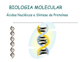BIOLOGIA MOLECULAR
Ácidos Nucléicos e Síntese de Proteínas
 