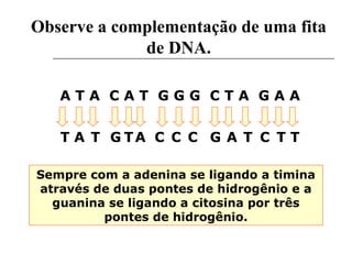 Observe a complementação de uma fita
de DNA.
A T A C A T G G G C T A G A A
TT T T T TGG C C CC AAA
Sempre com a adenina se ligando a timina
através de duas pontes de hidrogênio e a
guanina se ligando a citosina por três
pontes de hidrogênio.
 